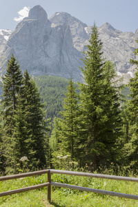 山风景