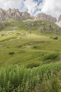 山风景