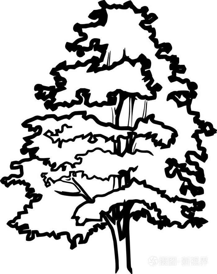 松树的剪影矢量