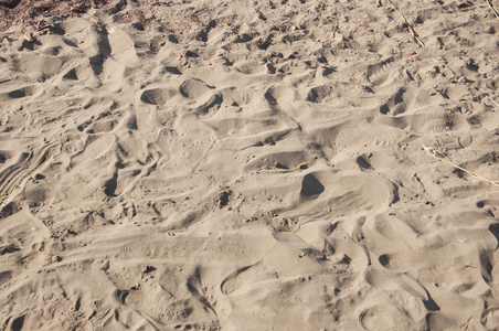 在沙中的足迹