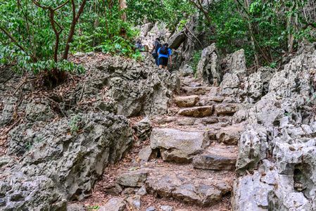 模糊远足去山顶