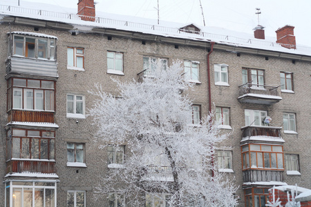 房子前面的冰冻树