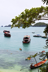 船海岸线的绿色泻湖和树海泰国 kho