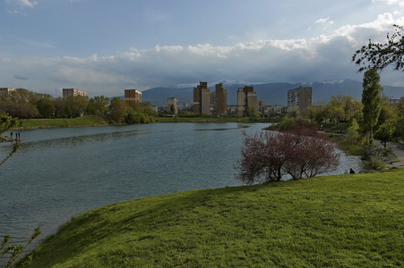 看法到 vitosha 山从湖在庭院在处所 drujba