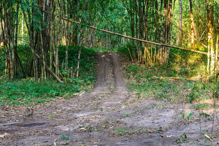 竹林中的小道路图片