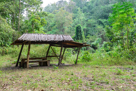 老小屋在国家公园森林