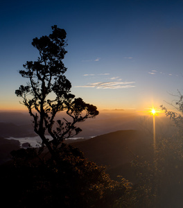 山中美丽的夏天风景