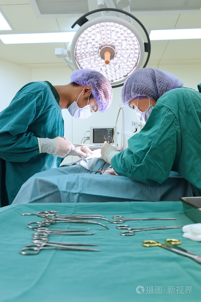 两名兽医外科医生在手术室里