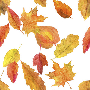 无缝模式与水彩秋天的落叶