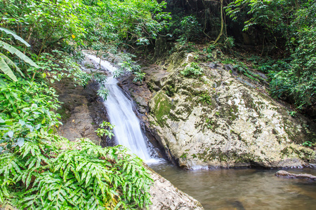 克罗 E 牍瀑布在雨林，泰国