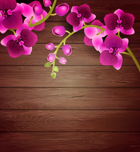 粉色的兰花花，木制背景