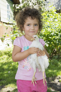 小女孩在夏天在花园里抱着一只鸡