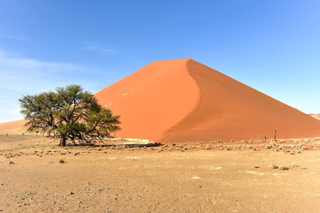 纳米比亚纳米布沙漠