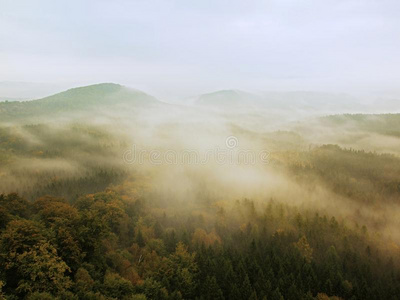 在瑞士萨克森公园的一个秋天的山谷里，一个寒冷的薄雾之夜。群山从朦胧的黑暗中增加了。