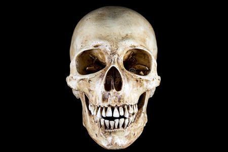 万圣节骷髅头图片