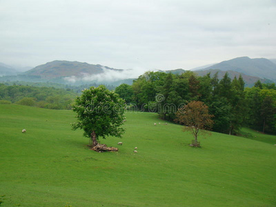 草场和山地