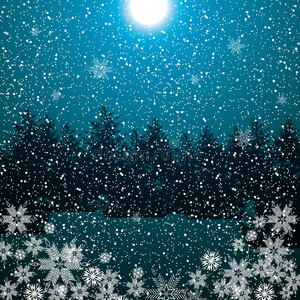 冬夜森林蓝