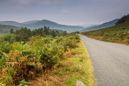 达顿山谷路