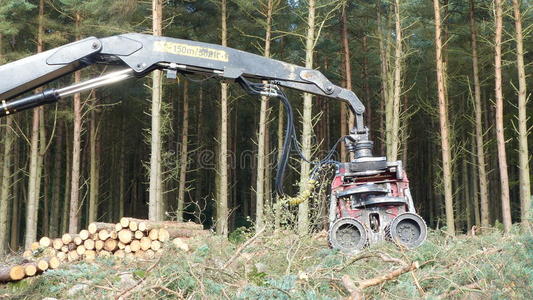 车轮伐木机图片