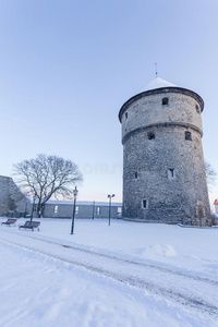 爱沙尼亚塔林塔林冬季景观