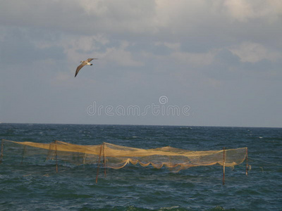 海鸥捕鱼器