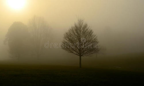 英国伦敦汉普斯特德的秋雾