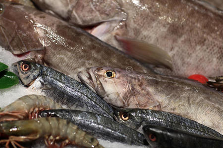 食品 钓鱼 满的 市场 面包 鲭鱼 形象 颜色 文化 地中海