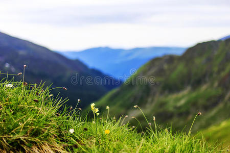 法加拉山脉美丽的夏季景观