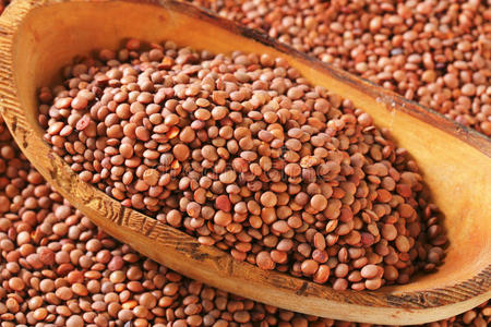 全红全红扁豆照片