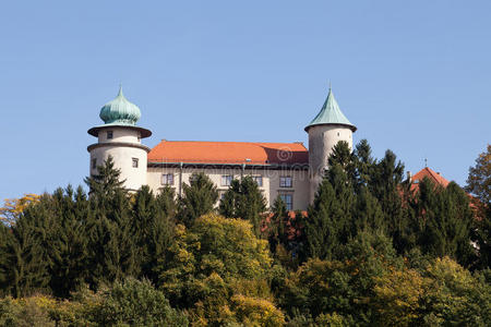 蓝天背景下的波兰诺维斯尼茨城堡