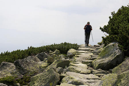 登山