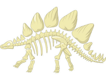 卡通剑龙骨架照片