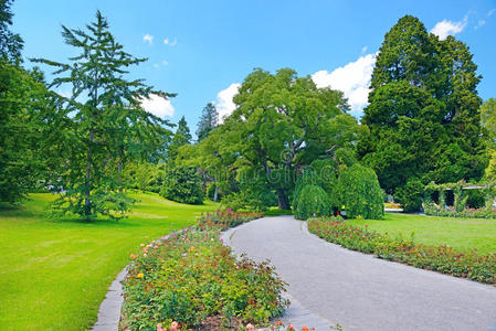 美丽的花草树木照片