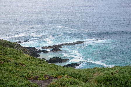 海洋海岸