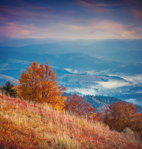 五彩缤纷的秋日在山上升起。