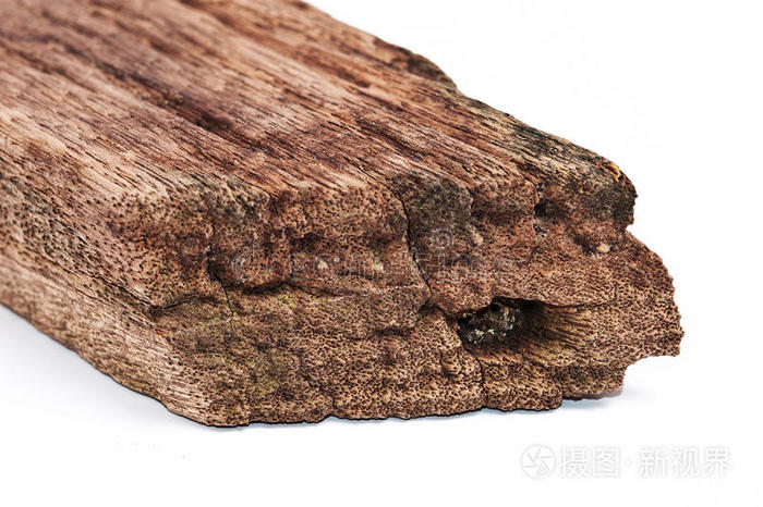 一块白色的旧木头