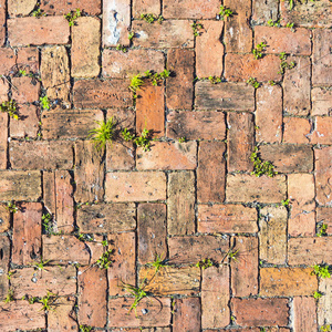 红砖地面手绘图片