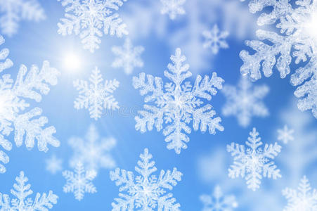 梨花飘落飘落的雪花照片