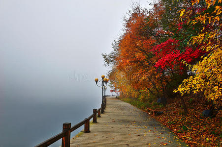 雾中红叶木栈桥