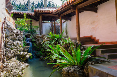 海纳海岸,三维鸟瞰图在地里种春的土豆木制的白色乡村花园篱笆和绿色