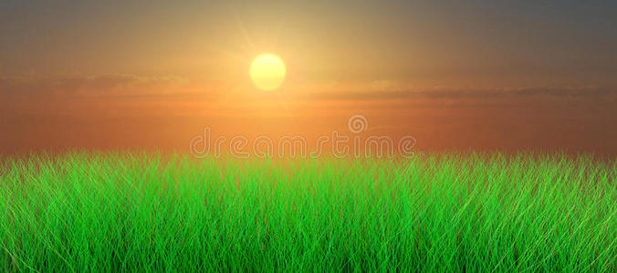 草地上的夕阳
