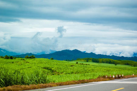 绿草地之间的乡村公路