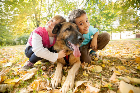 公园里的孩子们和一只德国牧羊犬在一起