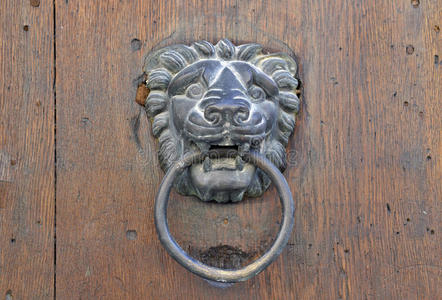 旧木门上的狮子门环照片