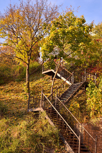 秋季楼梯