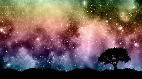 星空夜空树影照片