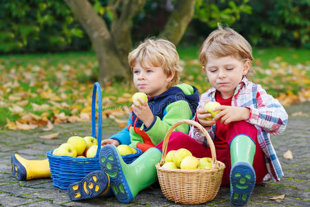 两个可爱的小男孩在家里的花园里吃苹果
