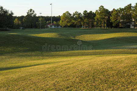高尔夫球场日出和景观草地。奥兰多
