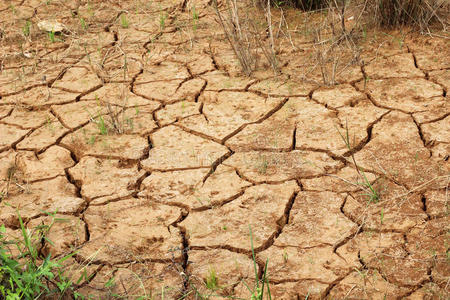 土地龟裂图片