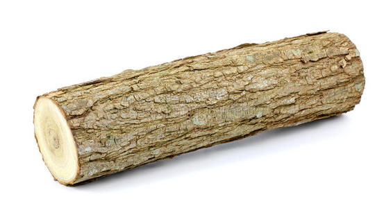 灰烬和木炭取暖的冬天的火夜空中的篝火混合森林中桦树上的查加蘑菇